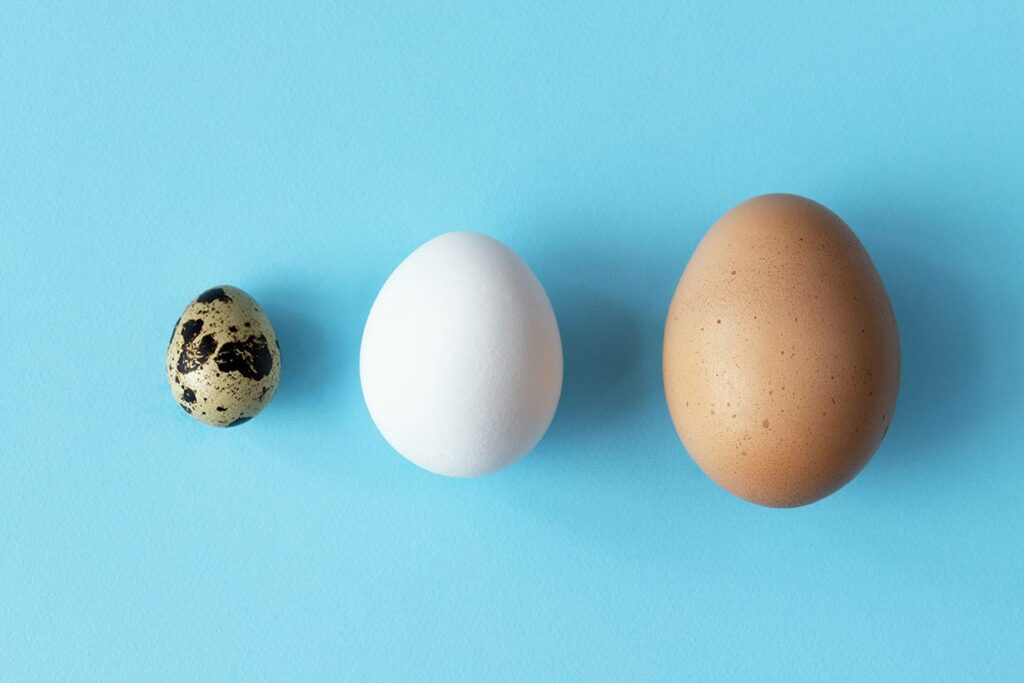 three types of eggs